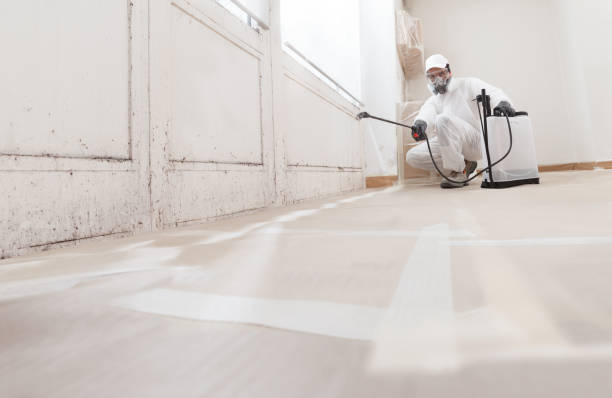 24/7 Emergency Mold Removal experts in Plainfield, NJ